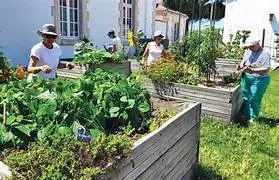 Jardinage solidaire